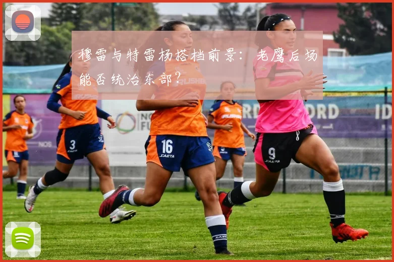 穆雷与特雷杨搭档前景:老鹰后场能否统治东部?